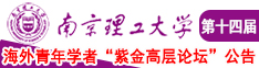 插入肏淫高H文南京理工大学第十四届海外青年学者紫金论坛诚邀海内外英才！